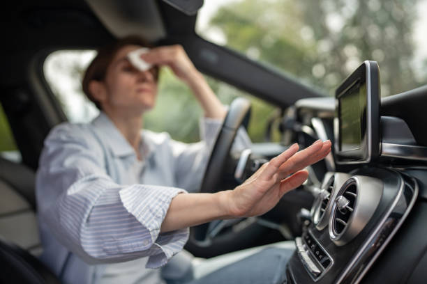 Best Air Conditioning Cleaning in Meridianville, AL